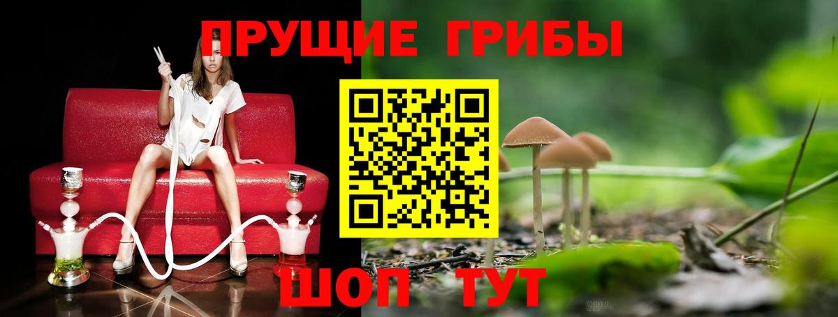 Бугульма  Псилоцибиновые грибы мицелий  Вход с VPN  Галлюциногенные грибы MAGIC MUSHROOMS 